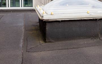 disadvantages of Freethorpe flat roofs