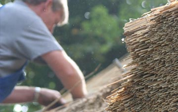 professional Freethorpe thatchers